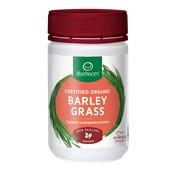 LifeStream Barley Grass Powder 100g