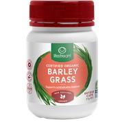 LifeStream Barley Grass 60caps