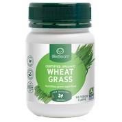 LifeStream Wheat Grass 60caps